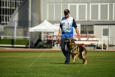 Indio dell'Altopiano