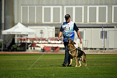 Indio dell'Altopiano