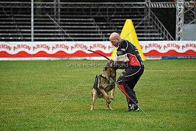 Indio dell'Altopiano