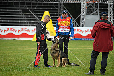 Indio dell'Altopiano