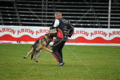 Indio dell'Altopiano