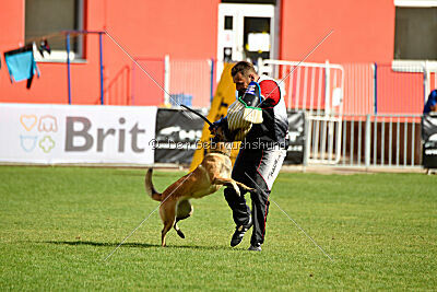 Indy vom Causa Nostre Letitia