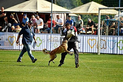 Indy vom Causa Nostre Letitia