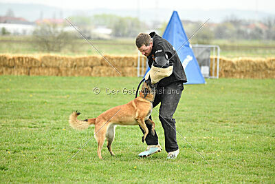 Indy vom Causa Nostre Letitia