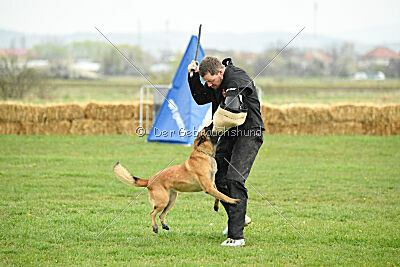Indy vom Causa Nostre Letitia