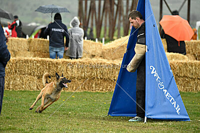 Indy vom Causa Nostre Letitia