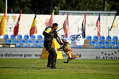 Indy vom Causa Nostre Letitia