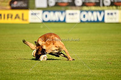 Indy vom Causa Nostre Letitia