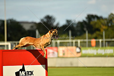 Indy vom Causa Nostre Letitia