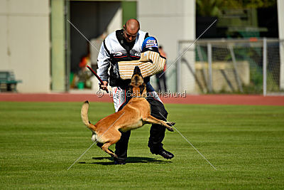 Indy vom Causa Nostre Letitia