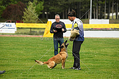 Indy vom Causa Nostre Letitia