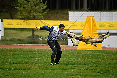 Indy vom Causa Nostre Letitia