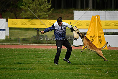 Indy vom Causa Nostre Letitia