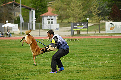 Indy vom Causa Nostre Letitia
