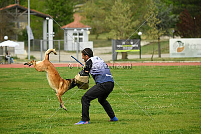 Indy vom Causa Nostre Letitia