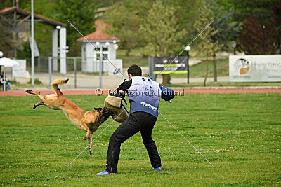 Indy vom Causa Nostre Letitia