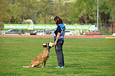 Indy vom Causa Nostre Letitia