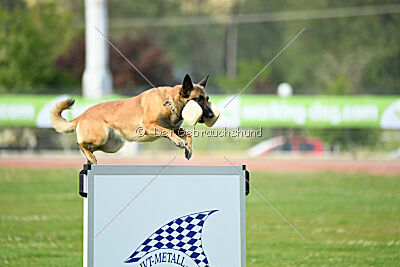 Indy vom Causa Nostre Letitia