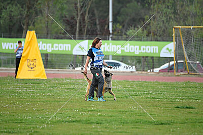 Indy vom Causa Nostre Letitia