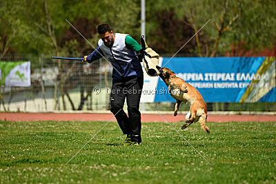 Indy vom Causa Nostre Letitia