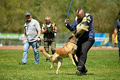 Indy vom Causa Nostre Letitia