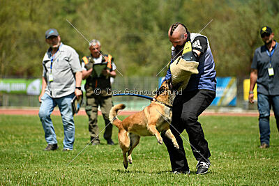 Indy vom Causa Nostre Letitia
