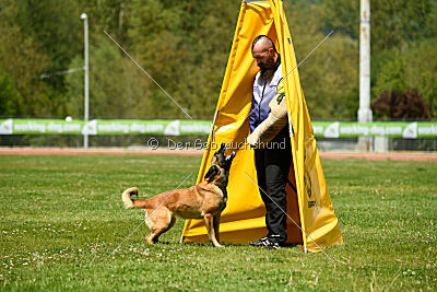 Indy vom Causa Nostre Letitia