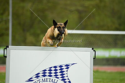 Indy vom Causa Nostre Letitia