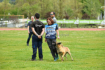 Indy vom Causa Nostre Letitia