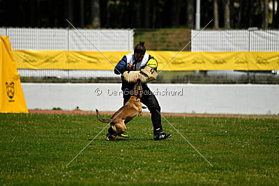 Infinity vom blauen Mistral