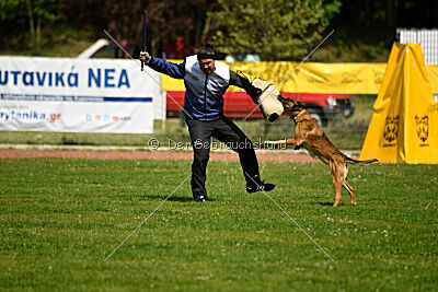 Infinity vom blauen Mistral