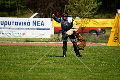 Infinity vom blauen Mistral