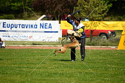 Infinity vom blauen Mistral