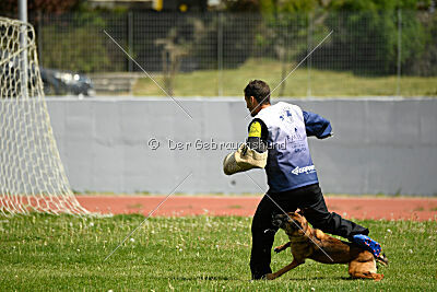 Infinity vom blauen Mistral