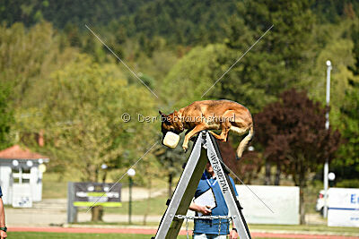 Infinity vom blauen Mistral