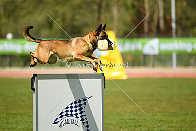 Infinity vom blauen Mistral