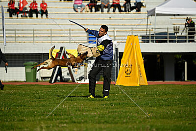 Infinity vom blauen Mistral