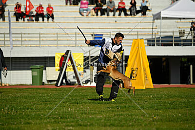 Infinity vom blauen Mistral