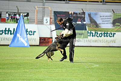 Inge von der Basileia