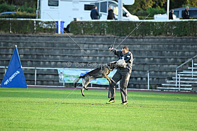 Ingeburg vom Hessenstein