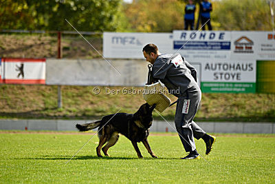 Ingo vom Weinbergblick