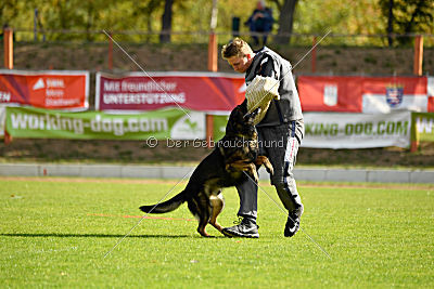 Ingo vom Weinbergblick