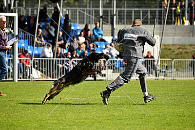 Ingo vom Weinbergblick