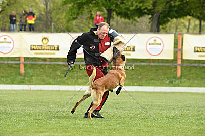 Insane van de Berlex-Hoeve