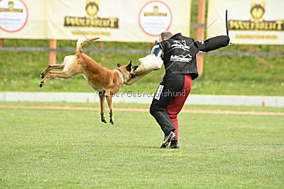 Insane van de Berlex-Hoeve