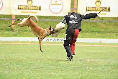 Insane van de Berlex-Hoeve