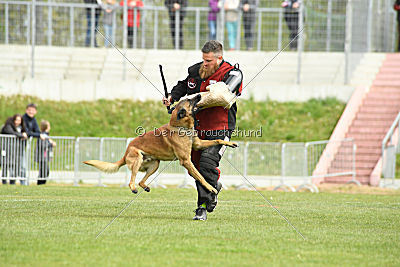 Insane van de Berlex-Hoeve