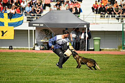 Intox du Banc des Hermelles