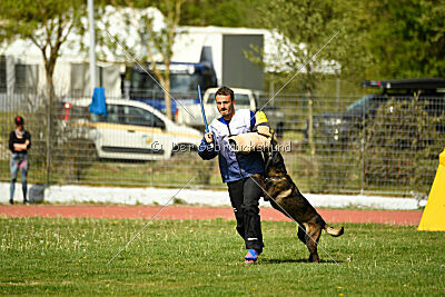 Intox du Banc des Hermelles