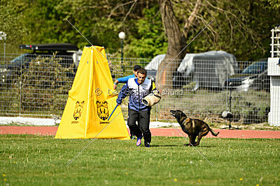 Intox du Banc des Hermelles
